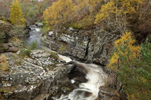 River Tromie running through autumnal woodland, Glenfeshie, Cairngorms NP, Scotland River Tromie running through autumnal woodland, Glenfeshie, Cairngorms NP, Scotland