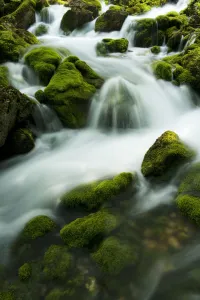 River Zadnjica cascading over moss covered stones, Triglav National Park, Slovenia River Zadnjica cascading over moss covered stones, Triglav National Park, Slovenia