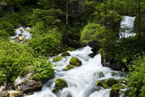 River Zadnjica, cascading past moss covered stones, Triglav National Park, Slovenia River Zadnjica, cascading past moss covered stones, Triglav National Park, Slovenia