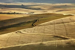 Rolling farmland in the Overberg region near Villiersdorp, Western Cape, South Africa
