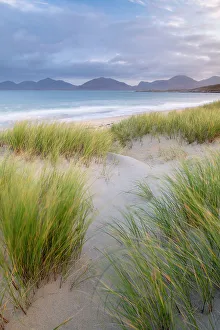 Sand dunes, marram grass (Ammophila arenaria) and beach at sunrise, Luskentyre Sand dunes, marram grass (Ammophila arenaria) and beach at sunrise, Luskentyre