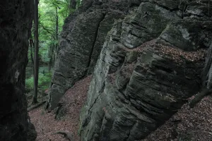 Sandstone formation in a European beech forest (Fagus sylvatica) Beaufort, Mullerthal Sandstone formation in a European beech forest (Fagus sylvatica) Beaufort, Mullerthal