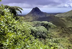 Images Dated 7th January 2014: Santa Cruz Island highlands with Puntudo spatter cone and lush vegetation with Cyathea treeferns