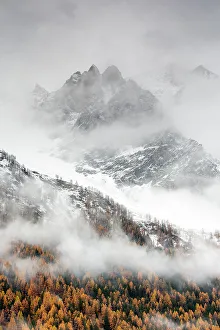 Snow covered mountain sides in Valsavarenche Valley with European larch (Larix decidua) Snow covered mountain sides in Valsavarenche Valley with European larch (Larix decidua)