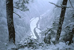 Snowy landscape with Sense River. Canton Fribourg, Switzerland, January 2001 Photographed Snowy landscape with Sense River. Canton Fribourg, Switzerland, January 2001 Photographed