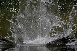 Splash in water made by Osprey (Pandion haliaetus) fishing, Kangasala, Finland, August Splash in water made by Osprey (Pandion haliaetus) fishing, Kangasala, Finland, August