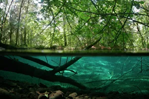 Images Dated 20th September 2006: Split level landscape in oxbow of the Aare river, Switzerland, September