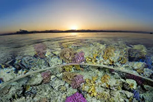 Split level view of shallow coral reef in the Red Sea at sunset. Gordon Reef, Sinai, Egypt Split level view of shallow coral reef in the Red Sea at sunset. Gordon Reef, Sinai, Egypt