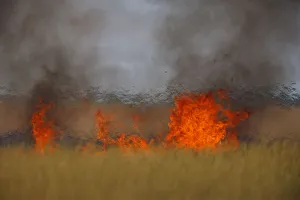 Images Dated 11th July 2009: Steppe fields on fire, Bagerova Steppe, Kerch Peninsula, Crimea, Ukraine, July 2009