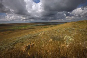 Steppe landscape, Bagerova Steppe, Kerch Peninsula, Crimea, Ukraine, July 2009 Steppe landscape, Bagerova Steppe, Kerch Peninsula, Crimea, Ukraine, July 2009