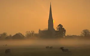 Sun rising through mist behind Salisbury Cathedral viewed across Harnham Water Meadows Sun rising through mist behind Salisbury Cathedral viewed across Harnham Water Meadows