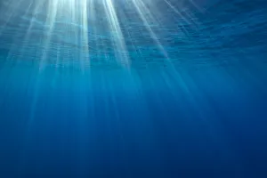 Sunbeams below the surface of the sea, Guadalupe Island, Baja California, Mexico Sunbeams below the surface of the sea, Guadalupe Island, Baja California, Mexico