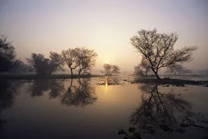 Sunrise over lake, Keoladeo Ghana / Bharatpur NP, Rajasthan, India Sunrise over lake, Keoladeo Ghana / Bharatpur NP, Rajasthan, India