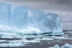 Sphenisciformes Gallery: Tabular iceberg floating in Weddell Sea, iceberg broken away from Larson C ice shelf