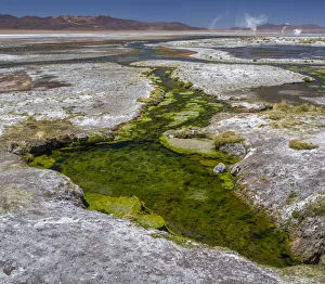 Thermal spring drains into Laguna Salada, in the high altiplano, Bolivia Thermal spring drains into Laguna Salada, in the high altiplano, Bolivia