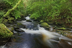 Images Dated 9th November 2012: Torc River, Killarney National Park, County Kerry, Ireland