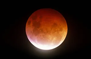 Total eclipse of the Moon 9 January 2001. Worcestershire, UK Total eclipse of the Moon 9 January 2001. Worcestershire, UK