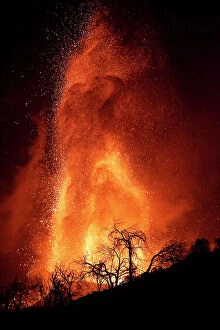 Phenomenon Gallery: Trees silhouetted against erupting Cumbre Vieja volcano at night, La Palma