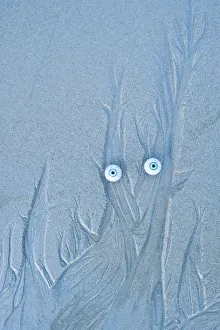 Troll face on a sandy beach, Islay, Scotland Troll face on a sandy beach, Islay, Scotland