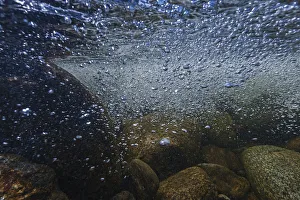 Riverbed Gallery: Underwater view of the Temnik River, Lake Baikal, Baikalsky Reserve, Siberia, Russia. May