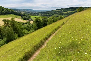 Unimproved grassland in flower at Swifts Hill, Site of Special Scientific Interest (SSSI) Unimproved grassland in flower at Swifts Hill, Site of Special Scientific Interest (SSSI)
