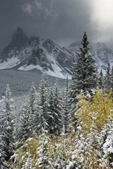 Images Dated 3rd October 2009: The Valley of the Ten Peaks, after recent snowfall, Banff National Park, Alberta, Canada