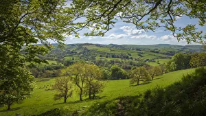 View from edge of woodlands near Pott Shrigley, Peak District National Park, Cheshire, UK View from edge of woodlands near Pott Shrigley, Peak District National Park, Cheshire, UK