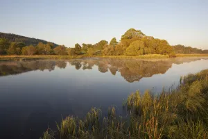 View over the River Spey at sunrise, Cairngorms National Park, Scotland, UK, May View over the River Spey at sunrise, Cairngorms National Park, Scotland, UK, May