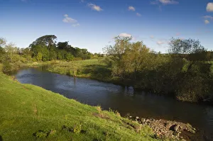 View of the River Till, part of area where The Tweed Foundation are monitoring the View of the River Till, part of area where The Tweed Foundation are monitoring the