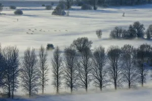 View south over the Somerset Levels from Walton Hill on a misty winter evening with View south over the Somerset Levels from Walton Hill on a misty winter evening with