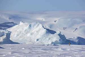 View of tourist walking near Emperor penguin colony at Snow Hill Island rookery, Weddell Sea