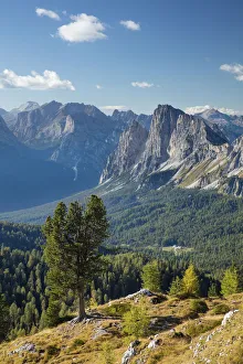 Expansive Gallery: Views over Cristallo and the Dolomite Mountains from Ciadin del Luodo, Belluno Province