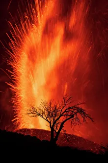 Volcanic eruption with silhouette of tree, Cumbre Vieja Volcano, La Palma, Canary Islands Volcanic eruption with silhouette of tree, Cumbre Vieja Volcano, La Palma, Canary Islands