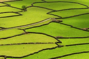 Wasdale Head from Kirk Fell, stone walls, livestock and ancient field patterns Wasdale Head from Kirk Fell, stone walls, livestock and ancient field patterns