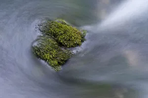 Water flowing round moss covered stones in the Crna Rijeka, Black river springs Water flowing round moss covered stones in the Crna Rijeka, Black river springs