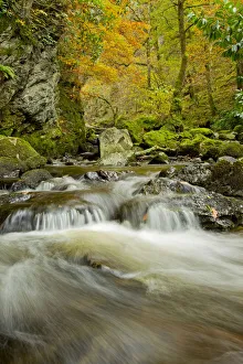 Water running over rocks, Lodore Falls, with autumnal trees in the background, Lake District Water running over rocks, Lodore Falls, with autumnal trees in the background, Lake District