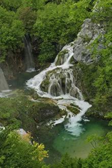 Waterfall and rapids falling into a mountain pool. Plitvice National Park, Croatia Waterfall and rapids falling into a mountain pool. Plitvice National Park, Croatia