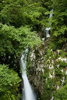 Waterfalls on the River Lepenjica, Triglav National Park, Slovenia, June 2009 Waterfalls on the River Lepenjica, Triglav National Park, Slovenia, June 2009