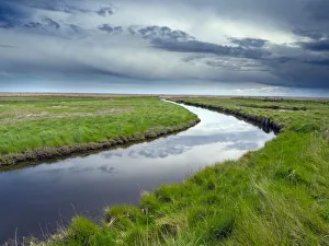 Waterway through marshland, Dingle Nature Reserve, Dunwich, Suffolk, UK. May, 2021 Waterway through marshland, Dingle Nature Reserve, Dunwich, Suffolk, UK. May, 2021