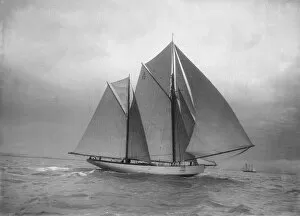 Ketch Gallery: The 118 foot racing yacht Cariad, 1912. Creator: Kirk & Sons of Cowes