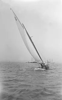 The 6 Metre Class The Whim helmed by C. Rivett-Carmac Esq. Creator: Kirk & Sons of Cowes The 6 Metre Class The Whim helmed by C. Rivett-Carmac Esq. Creator: Kirk & Sons of Cowes