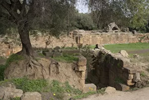 Algeria, Tipasa, Amphitheatre