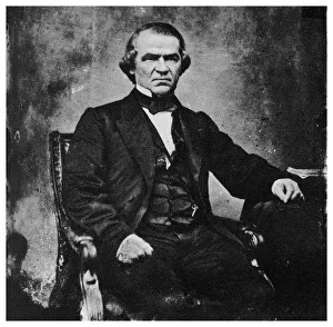 Andrew Johnson, 17th President of the United States, 1860s (1955) Andrew Johnson, 17th President of the United States, 1860s (1955)
