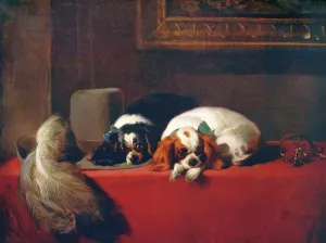Prints of King Charles Spaniels (The Cavaliers Pets), 1845, (c1915). The painting is held by the Tate Gallery, London. From International Art: Past and Present by Alfred Yockney Sight Prints: King Charles Spaniels Print, 1845 (c1915), Tate Gallery