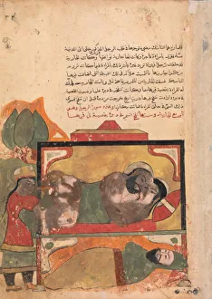 The Ascetic Witnesses the Woman Trying to Poison the Lover, Folio from a Kalila The Ascetic Witnesses the Woman Trying to Poison the Lover, Folio from a Kalila
