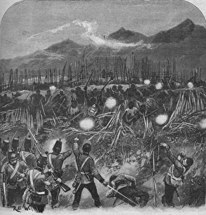 The Attack, 1902. Artist: R. O. W The Attack, 1902. Artist: R. O. W