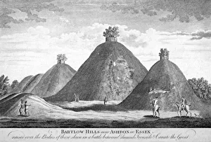 Essex Gallery: Ashdon Collection