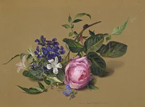 Beetle at the rose branch. Artist: Tolstoy, Fyodor Petrovich (1783-1873) Beetle at the rose branch. Artist: Tolstoy, Fyodor Petrovich (1783-1873)