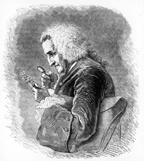 Bernard de Jussieu, 18th century French botanist, 1880 Bernard de Jussieu, 18th century French botanist, 1880