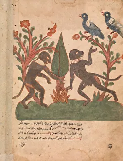 The Birds and the Monkeys with the Glow Worm, Folio from a Kalila wa Dimna, 18th century The Birds and the Monkeys with the Glow Worm, Folio from a Kalila wa Dimna, 18th century